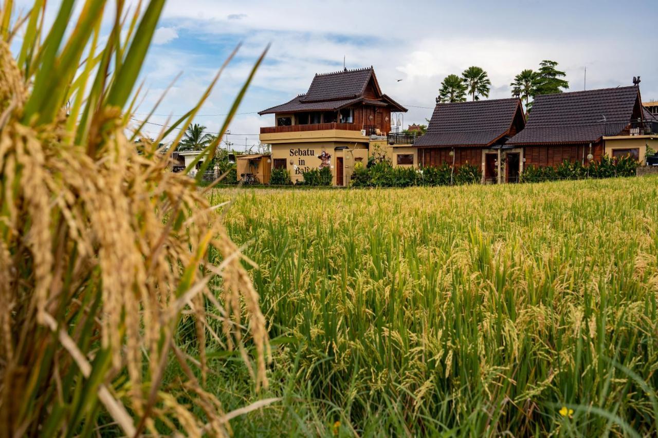 Barong Bali Villas Ubud  Exterior photo