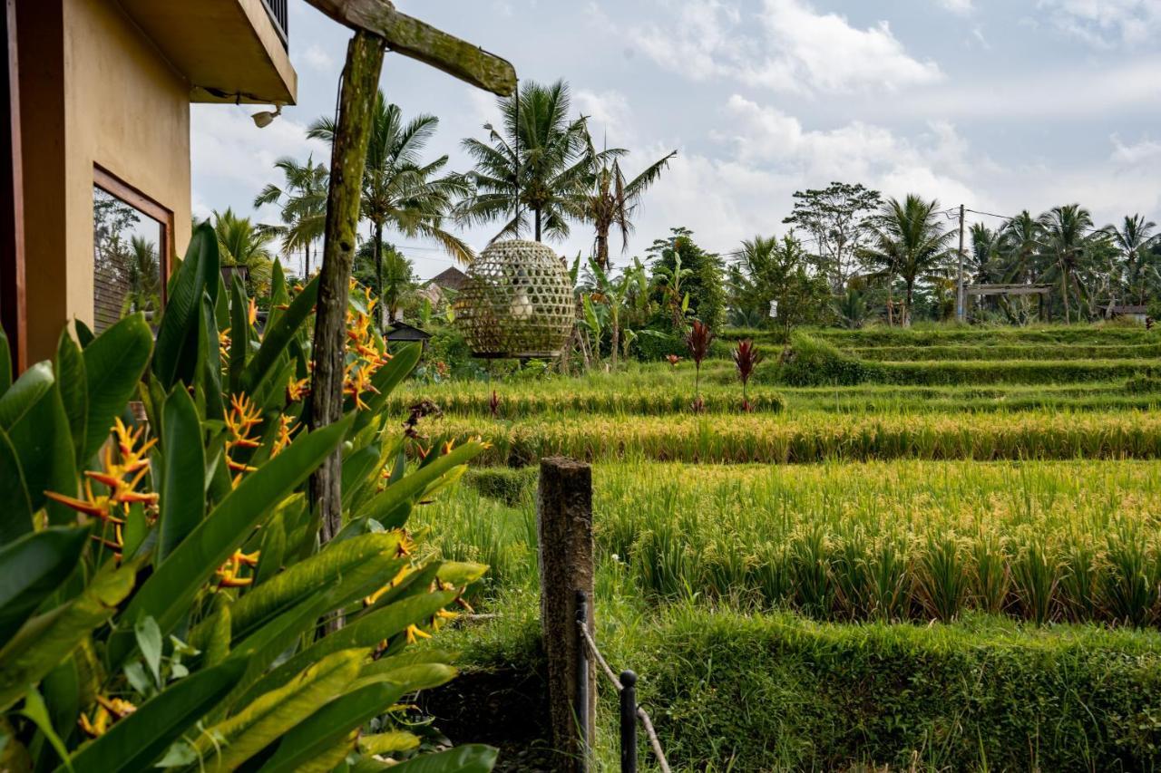 Barong Bali Villas Ubud  Exterior photo